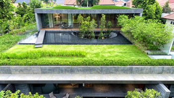 Vườn trên mái – Những ý tưởng hay và giải pháp thiết kế mới